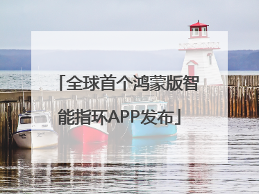 全球首个鸿蒙版智能指环APP发布