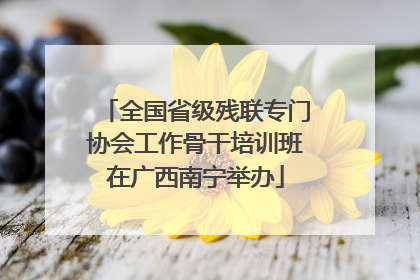 全国省级残联专门协会工作骨干培训班在广西南宁举办