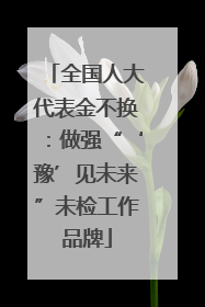 全国人大代表金不换：做强“‘豫’见未来”未检工作品牌