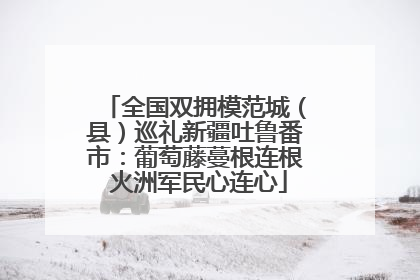 全国双拥模范城（县）巡礼新疆吐鲁番市：葡萄藤蔓根连根 火洲军民心连心