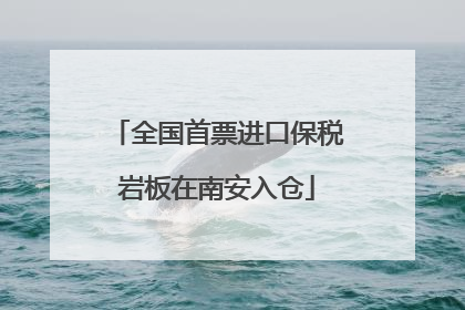 全国首票进口保税岩板在南安入仓