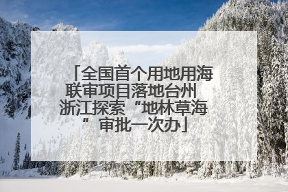 全国首个用地用海联审项目落地台州 浙江探索“地林草海”审批一次办