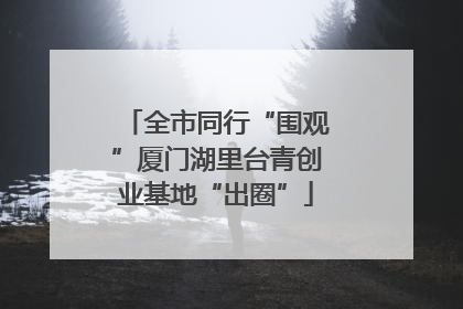 全市同行“围观”厦门湖里台青创业基地“出圈”