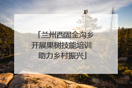 兰州西固金沟乡开展果树技能培训 助力乡村振兴