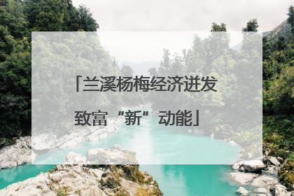 兰溪杨梅经济迸发致富“新”动能