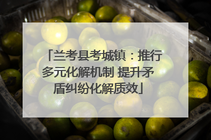 兰考县考城镇：推行多元化解机制 提升矛盾纠纷化解质效