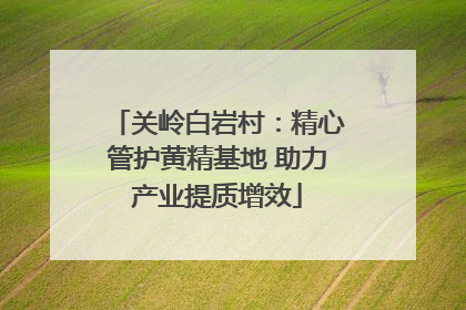 关岭白岩村：精心管护黄精基地 助力产业提质增效