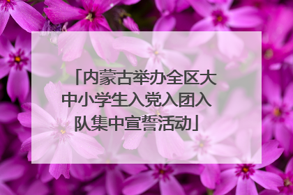 内蒙古举办全区大中小学生入党入团入队集中宣誓活动