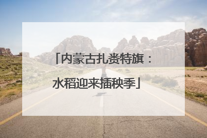 内蒙古扎赉特旗：水稻迎来插秧季