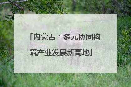 内蒙古：多元协同构筑产业发展新高地