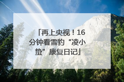 再上央视！16分钟看雪豹“凌小蛰”康复日记