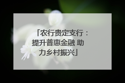 农行贵定支行：提升普惠金融 助力乡村振兴