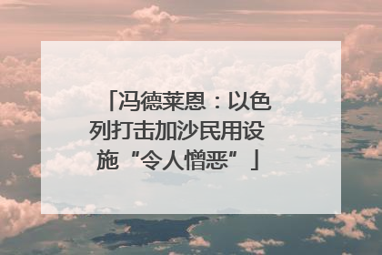 冯德莱恩：以色列打击加沙民用设施“令人憎恶”