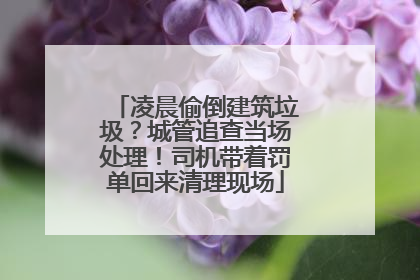 凌晨偷倒建筑垃圾？城管追查当场处理！司机带着罚单回来清理现场