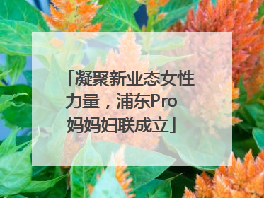 凝聚新业态女性力量，浦东Pro妈妈妇联成立