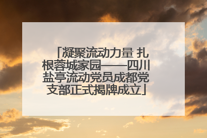 凝聚流动力量 扎根蓉城家园——四川盐亭流动党员成都党支部正式揭牌成立