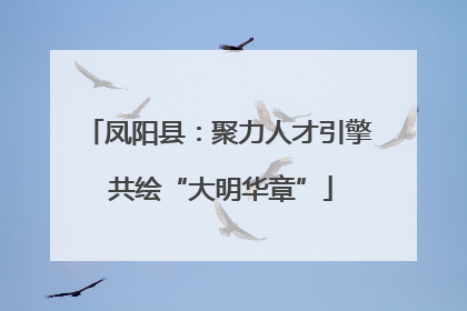 凤阳县：聚力人才引擎 共绘“大明华章”