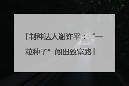 制种达人谢许平：“一粒种子”闯出致富路