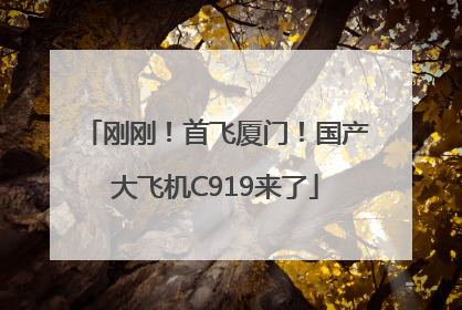 刚刚！首飞厦门！国产大飞机C919来了
