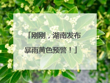 刚刚，湖南发布暴雨黄色预警！