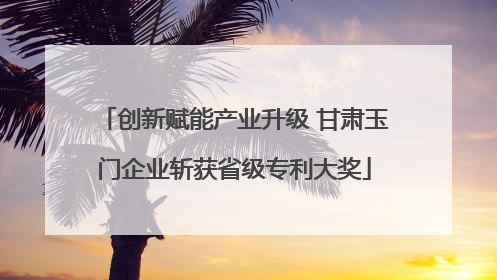 创新赋能产业升级 甘肃玉门企业斩获省级专利大奖