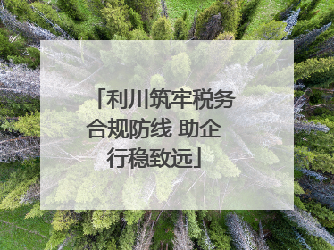 利川筑牢税务合规防线 助企行稳致远