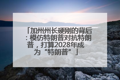 加州州长硬刚的背后：模仿特朗普对抗特朗普，打算2028年成为“特朗普”