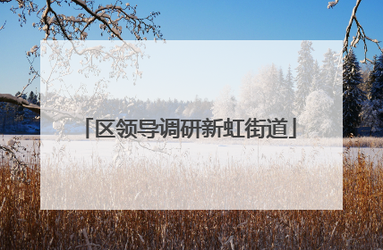 区领导调研新虹街道