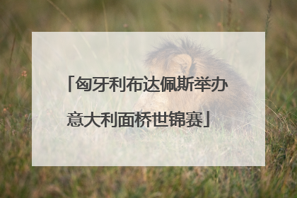 匈牙利布达佩斯举办意大利面桥世锦赛