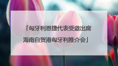 匈牙利恩捷代表受邀出席海南自贸港匈牙利推介会