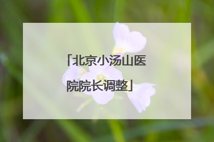 北京小汤山医院院长调整