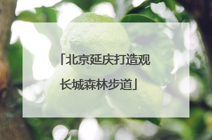 北京延庆打造观长城森林步道