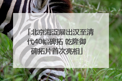 北京海淀展出汉至清代40幅碑拓 乾隆御碑拓片首次亮相