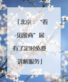北京：“看·见殷商”展有了定时免费讲解服务