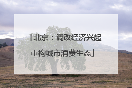 北京：调改经济兴起 重构城市消费生态