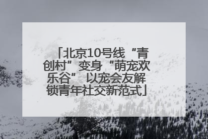 北京10号线“青创村”变身“萌宠欢乐谷” 以宠会友解锁青年社交新范式