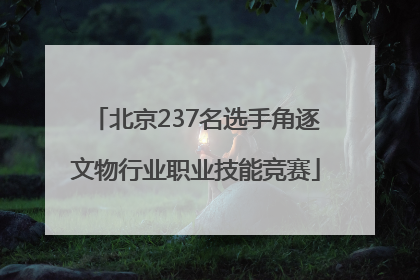 北京237名选手角逐文物行业职业技能竞赛