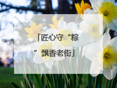 匠心守“粽”飘香老街
