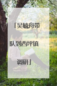 吴毓舟带队到西坪镇调研