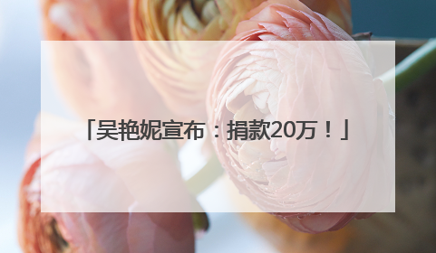 吴艳妮宣布：捐款20万！