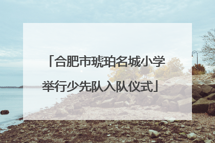 合肥市琥珀名城小学举行少先队入队仪式