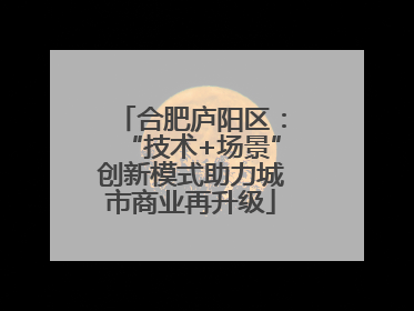 合肥庐阳区：“技术+场景”创新模式助力城市商业再升级