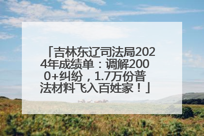 吉林东辽司法局2024年成绩单：调解2000+纠纷，1.7万份普法材料飞入百姓家！