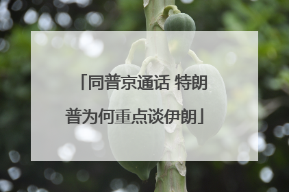 同普京通话 特朗普为何重点谈伊朗