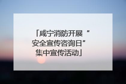 咸宁消防开展“安全宣传咨询日”集中宣传活动