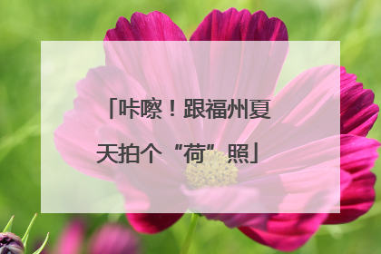 咔嚓！跟福州夏天拍个“荷”照