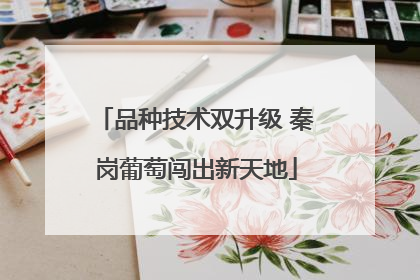 品种技术双升级 秦岗葡萄闯出新天地