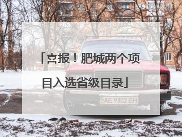 喜报！肥城两个项目入选省级目录
