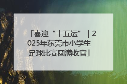 喜迎“十五运”｜2025年东莞市小学生足球比赛圆满收官