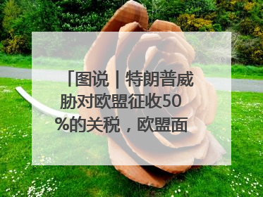 图说｜特朗普威胁对欧盟征收50%的关税，欧盟面临多重压力